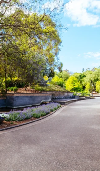 wilson-botanic-park-berwick-in-victoria-australia-2025-03-08-12-50-58-utc