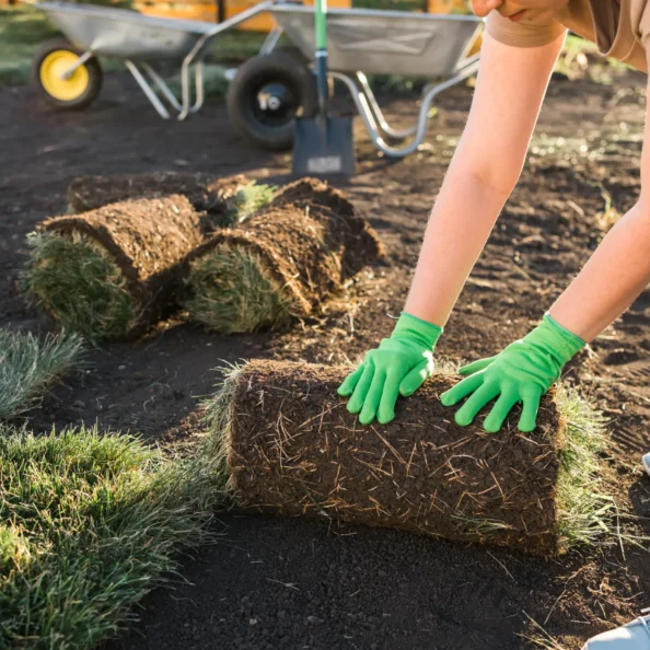 close-up-woman-laying-sod-for-new-garden-lawn-tu-2025-02-24-11-19-15-utc
