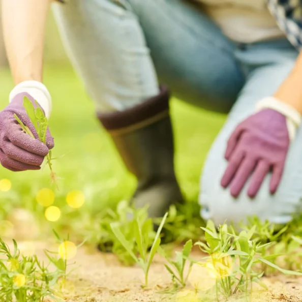 gardening-and-people-concept-happy-smiling-woman-2025-10-11-09-48-57-utc