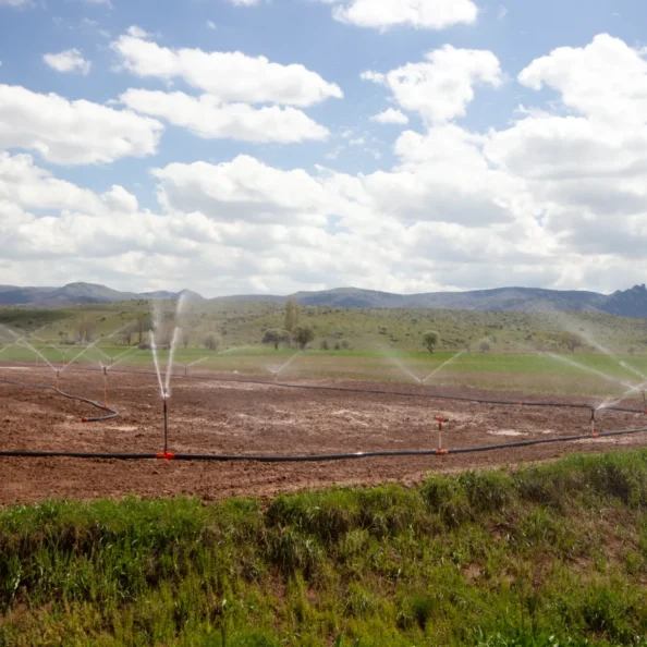 irrigation-system-water-saving-irrigation-system-2025-01-08-00-03-45-utc