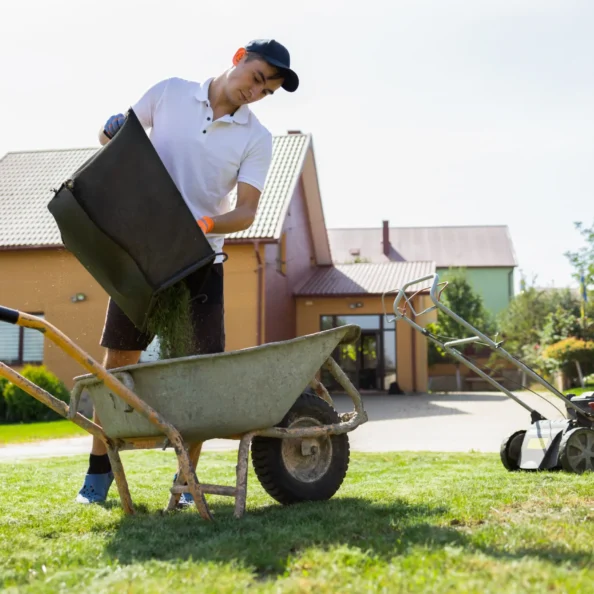 man-unloads-mowed-grass-from-a-lawn-s-mower-catche-2024-10-21-13-16-47-utc