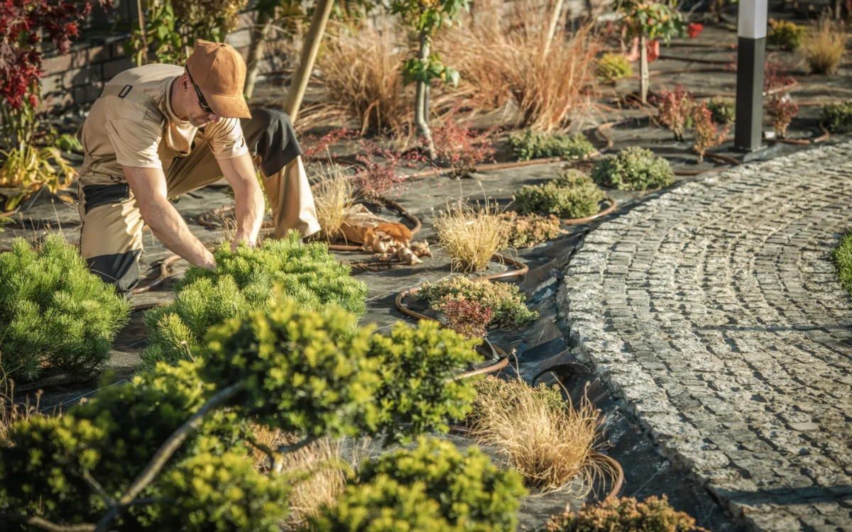 30A tree and shrub care for coastal properties