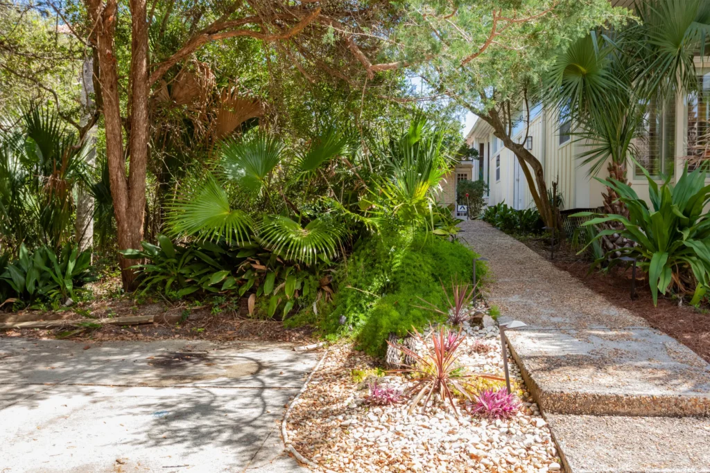 The Best Native Plants for 30A Coastal Landscaping - Salty Air ...