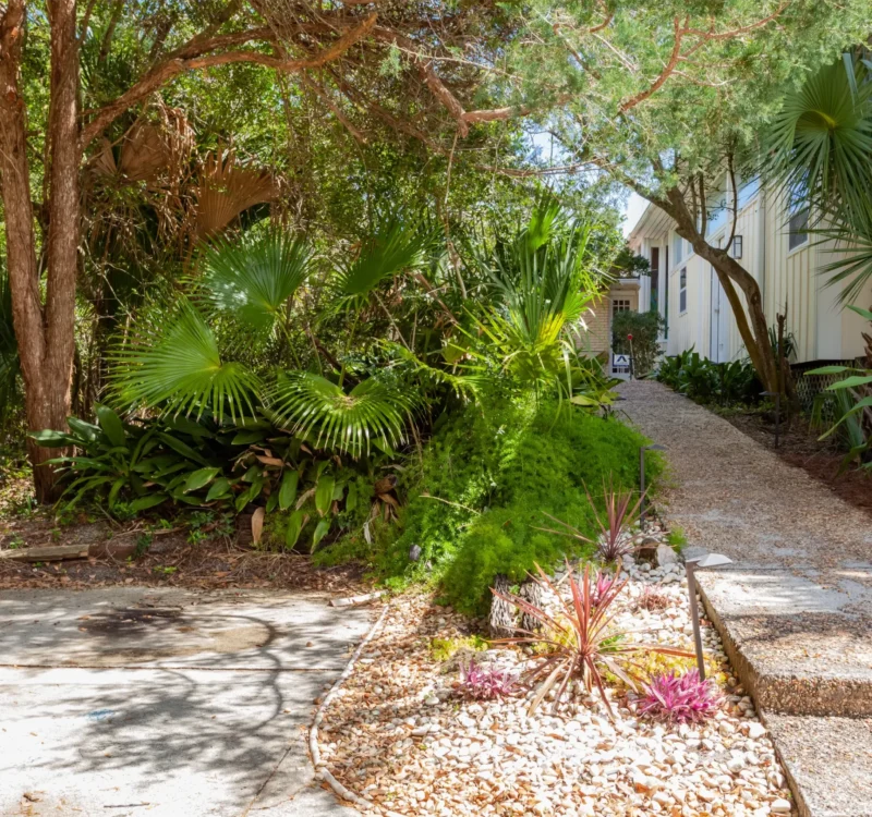 path-leading-to-a-condo-2026-01-11-10-25-56-utc