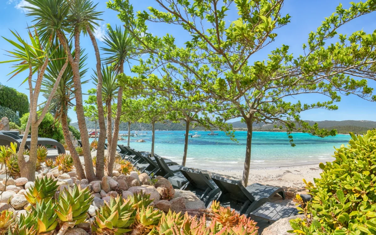 Coastal landscaping in 30A Florida — salt-tolerant plants and turf designed for Emerald Coast conditions