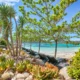 Coastal landscaping in 30A Florida — salt-tolerant plants and turf designed for Emerald Coast conditions