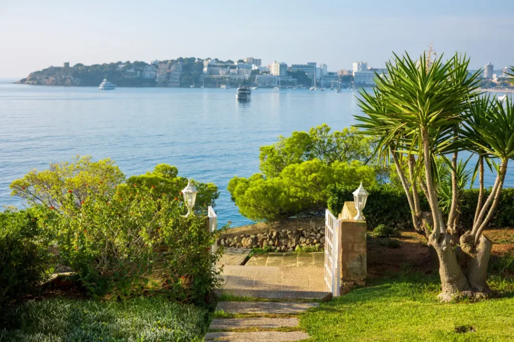 Established coastal front yard landscaping at a Rosemary Beach or Seaside 30A Florida home