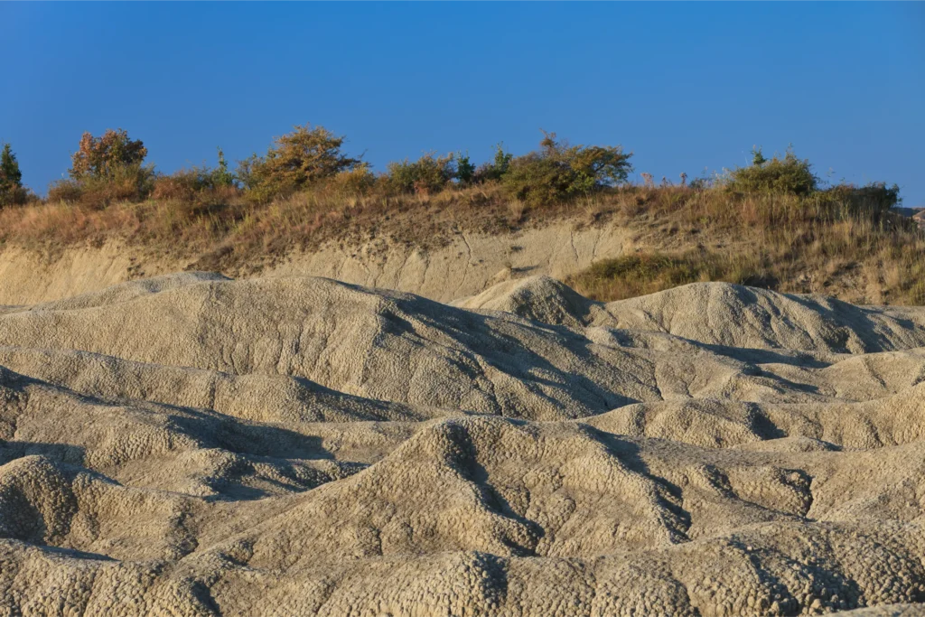 Sandy coastal soil typical of 30A Florida landscaping — requires proper amendment and irrigation calibration 