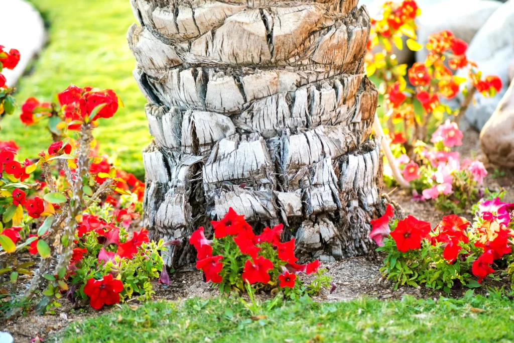 Seasonal landscape bed with fresh mulch and flowering annuals at a WaterColor 30A vacation rental